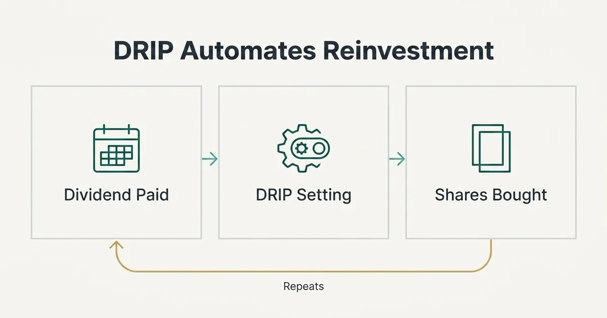 A flat vector diagram titled 'DRIP Automates Reinvestment' shows a three-step left-to-right flow: a calendar icon labeled 'Dividend Paid' connects via a teal arrow to a gear icon labeled 'DRIP Setting', which connects via another teal arrow to an overlapping-rectangles icon labeled 'Shares Bought'. Beneath the three cells, a gold circular arrow loops from the last step back to the first, labeled 'Repeats', illustrating that dividend reinvestment automatically cycles to compound over time.